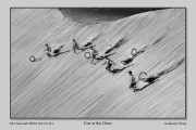 R1F-Fun-at-the-Dune