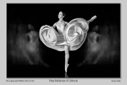R2A-Pink-Ballerina