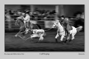 R2F-Calf-Roping