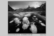 R3F-Ice-Bubbles-on-the-Kake