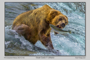 R1A-Great-Catch-