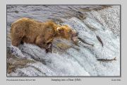 R2A-Jumping-into-a-Bear