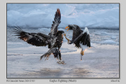 R3A-Eagles-Fighting