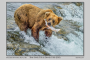 R3D-Bear-Catch-Fish-in-Brooks-Falls