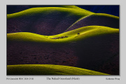 R1A-The-Naked-Grassland