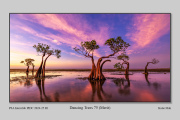 R1C-Dancing-Tree