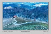 R2F-Heart-Shaped-Road