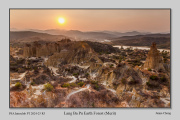 R3B-Lang-Ba-Pu-Earth-Forest