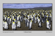 R3F-Folkland-Island