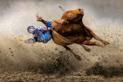 2025Q1-Open-A-Percy-Lo-Hold_on_bullrider (1st)