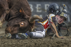 2025Q1-Open-A-Kai-Sun-Law-Bull_Hit_Cowfight (HM)