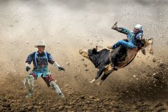 2025Q1-Open-A-Percy-Lo-Bullfighter_is_ready (HM)