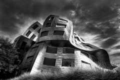 2025Q2-Mono-A-Peter-Lau-Cleveland_Clinic (3rd)