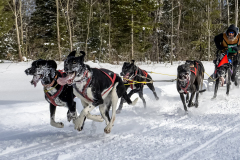 Mabel-Au_Dog-Sledding (2nd)