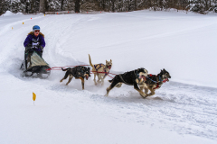 Percy-Lo_Snow-dog-pulling-race (HM)