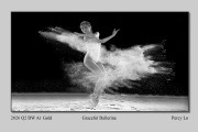 2026-Q2-BW-A1-Gold