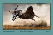 2026-Q2-Open-A2-Silver