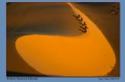 A2-Workers-Homeward-Bound