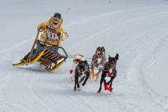 Journalism_Edwin-Ho_Dog-Sled-1