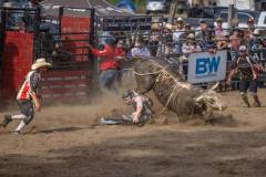 Journalism_Florence-Lau_Rodeo-1