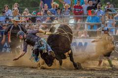 Journalism_Kai-Sun-Law_Rodeo