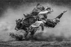Mono_Kai-Sun-Law_The-Falling-Moment