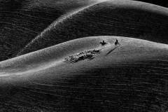 Herdsmen on Naked Grassland