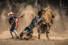 Open_Jill-Lam_Bull-Riding-4