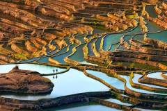 Open_Peter-Chi-Ho-Lau_Retreat-In-Yunnan-Rice-Terrace