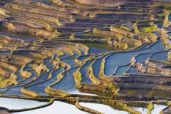 Travel_Florence-Lau_Rice-terraces
