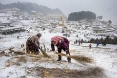 Travel_Peter-Chi-Ho-Lau_Snow-Shovels-With-Brushes