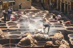 Travel_Suet-Chong-Law_Tannery-Morocco