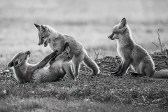 Wong Man Keung - Playing Together