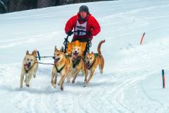 2013-A-Dany-Chan-Coming-Round-The-Bend