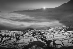Sunrise over the Rice Terrace