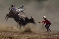 Nancy-Lam_Bull-riding