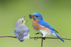 I want to eat