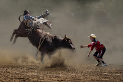 Bull riding