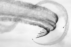 Flying In Synchronization