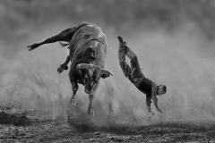 Falling headlong