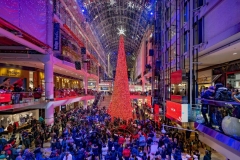 Christmas_Celebration_at_Toronto_Eaton_Centre