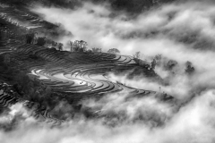 Peter-Lau_Foggy_Yuanyang_Rice_Terrace