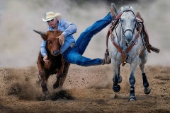 Steer Wrestling