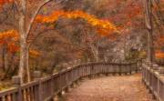 2024Q4Landscp-B-Candy-Mak-Autumn_Scenery_in_China