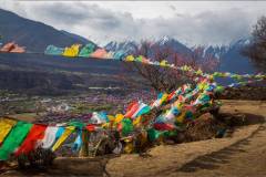 2024Q4Landscp-A-Wan-Chun-Anita-Lee-Peach_Flower_Village