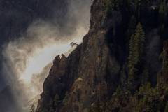 2024Q4Landscp-B-Jessica-Cheung-Cliff