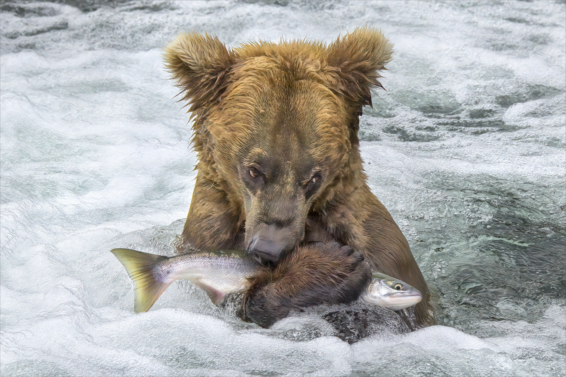 Irene Suet-Chong Law_This is mine