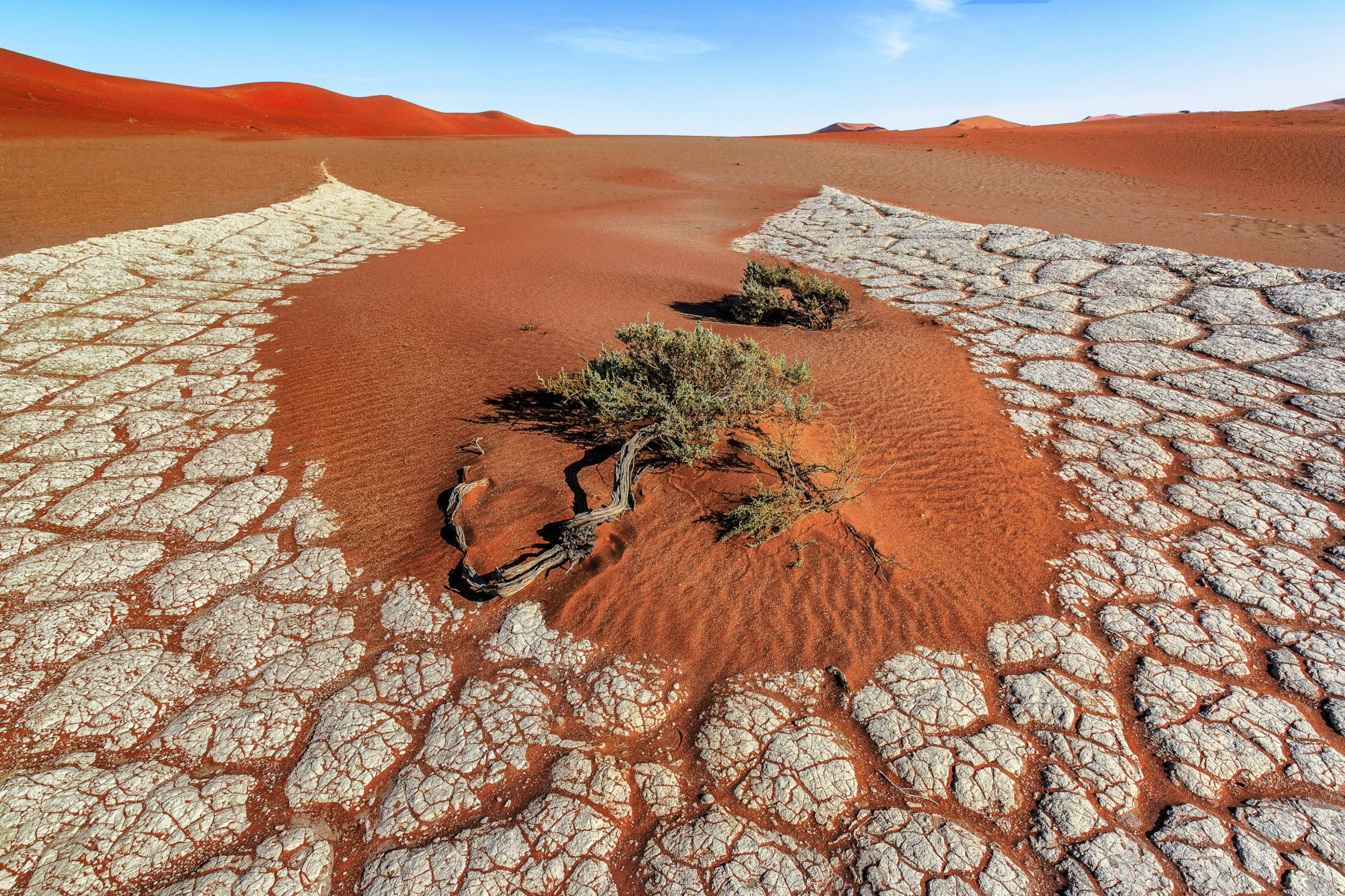Katherine Wong_Clay Formation In Sossusvlei