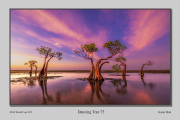 A4-Dancing-Tree-75