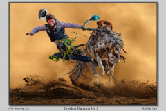 A2-Cowboy-Hanging-On-2